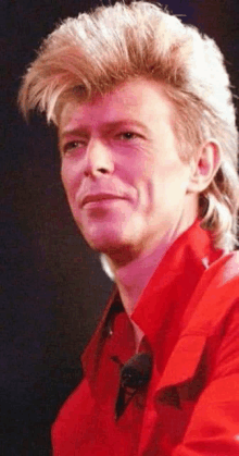 a man wearing a red shirt and a mullet looks at the camera