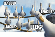 a group of seagulls sitting on a wire with the words league league and leek written on them