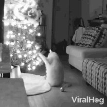 a black and white photo of a living room with a christmas tree and the words viralhog on the bottom