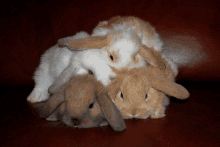 three rabbits are laying on top of each other