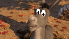 a donkey with big googly eyes is standing on a dirt ground