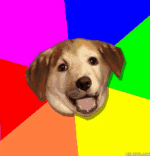 a picture of a dog with a memeful.com logo