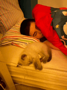 a person is sleeping on a bed with a cat underneath a red blanket