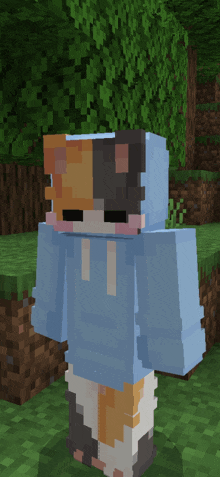 a minecraft character with a cat 's face and a blue hoodie