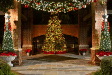 a large christmas tree is lit up in front of a building