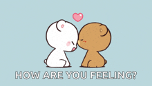 a couple of bears kissing with the words how are you feeling