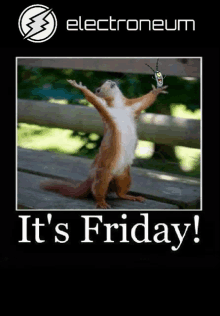 a picture of a squirrel with its arms outstretched and the words it 's friday