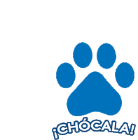 a blue paw print with the words ichocala written below it