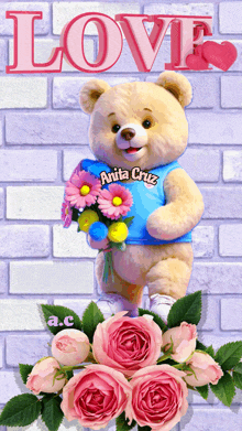 a teddy bear wearing a blue shirt that says anita cruz