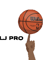 a wilson basketball is being held up by a person 's finger