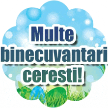 a sticker that says multe binecuvantari ceresti