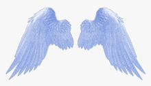 a pair of blue angel wings are spread out on a white background