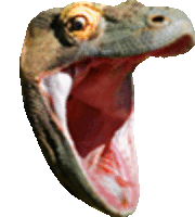 a close up of a lizard with its mouth wide open