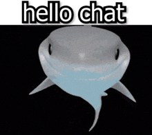 a picture of a shark with the words hello chat on it