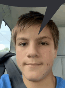 a young boy wearing a blue shirt and a seat belt looks at the camera