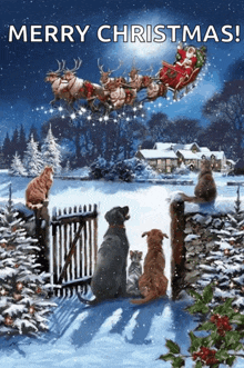 a merry christmas greeting card with dogs and cats watching santa in his sleigh