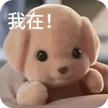 a person is holding a stuffed animal with chinese writing on it .