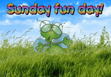 a sunday fun day greeting card with a green bug in the grass