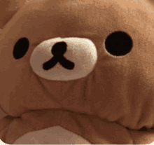 a close up of a brown teddy bear 's face