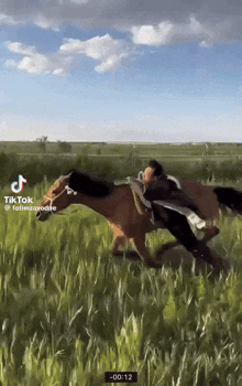 a man riding a horse in a field with a tiktok watermark