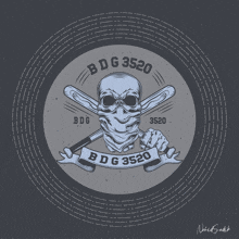 a logo for bdg 3520 with a skull and bat