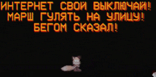 a black screen with russian text and a cat in the background