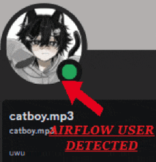 a picture of a catboy.mp3 with a green arrow pointing to it