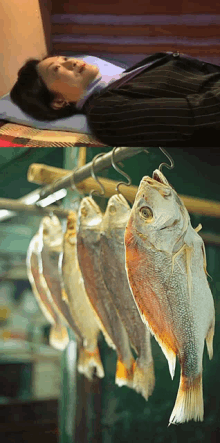 a woman is laying on a bed next to a row of fish