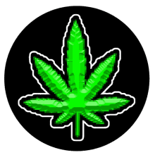 a green marijuana leaf is on a black circle