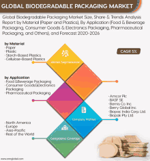 global biodegradable packaging market size share and trends analysis report by material ( paper and plastics )