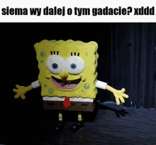 a picture of spongebob with a caption that says " siema wy dalej o tym gadacie "