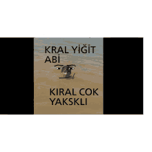 a picture of a boy in the water with the words kral yigit abi and kiral çok yakskli