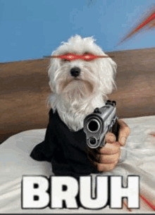 a small white dog is pointing a gun at someone .