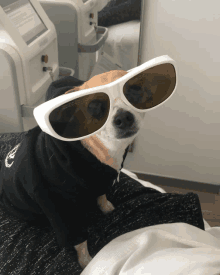 a small dog wearing sunglasses and a black shirt with a star wars logo on it