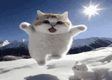 a cat is jumping in the air on top of a snow covered field .