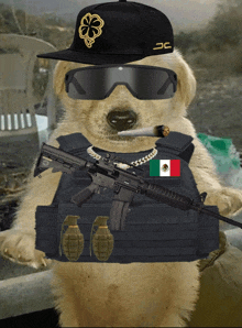 a dog wearing a hat with a clover on it is holding a gun