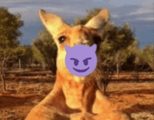 a kangaroo has a purple devil face on its face