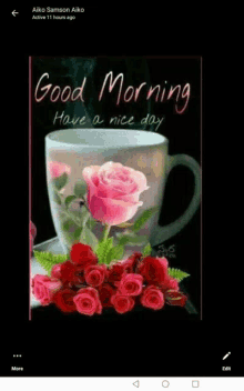 a picture of a cup of coffee with pink roses and the words " good morning have a nice day "