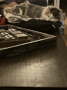 a cat sleeping on a blanket next to a tray of tic tac toe