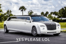 a white limousine is parked in a parking lot with the words `` yes please lol '' below it .