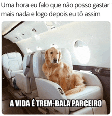 a dog is sitting in the back seat of an airplane with a caption that says uma hora eu falo que não posso gastar mais nada