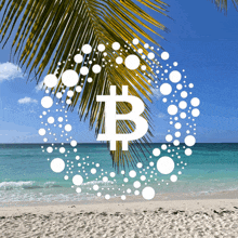 a picture of a beach with a palm tree and a bitcoin symbol in the middle