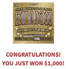 congratulations you just won $ 1,000,000 on a lotto ticket