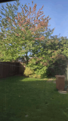 a backyard with a fence and a tree in the middle