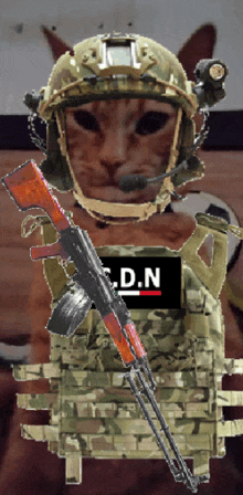 a cat wearing a helmet and holding an assault rifle with the letter n on it