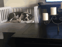 a dog laying on a couch next to a table with candles on it