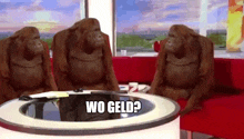 three orangutans are sitting at a table with the words wo geld written on the table in front of them .