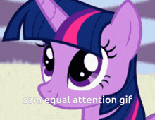 twilight sparkle from my little pony is shown with the words sam equal attention gif below her