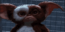 a gizmo from the movie gremlins is sitting in a cage .