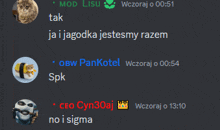 a screenshot of a discord conversation between mod lisu and ow pankotel